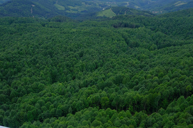 gfi-vatel-2-une-deuxieme-acquisition-avec-la-foret-de-charmelle