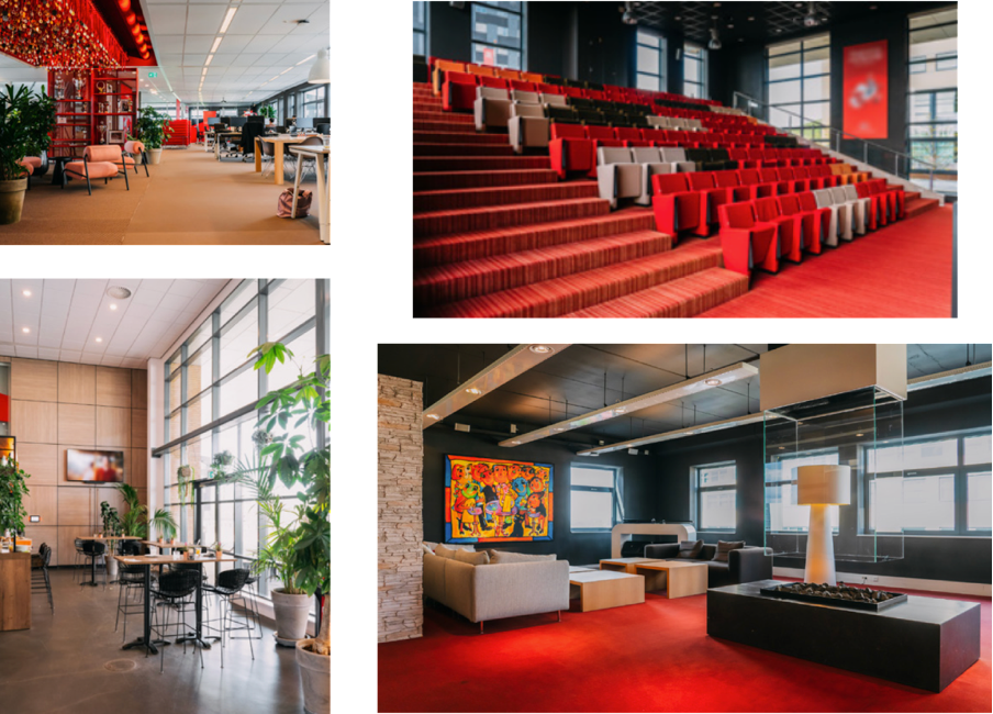 bureaux-situe-a-arnhem 