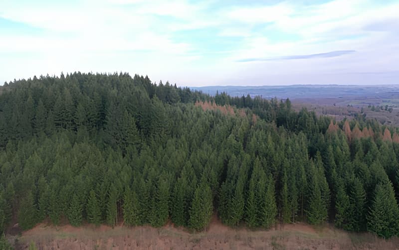 acquisition-gfi-epiforet-1-en-haute-vienne