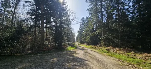 Le GFI Vatel II acquiert une forêt de plus de 29 hectares