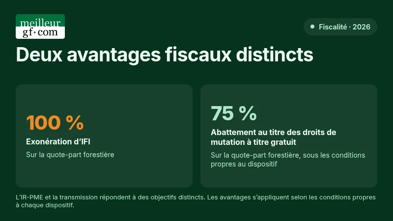 Avantages fiscaux des GFI : exonération d’IFI de 100 % et abattement successoral de 75 % sur la quote-part forestière.