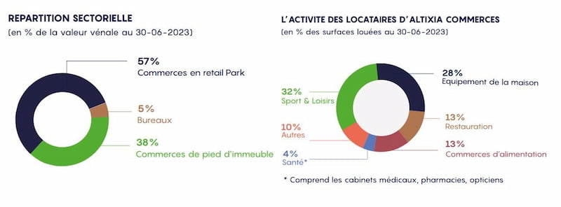 repartition-sectorielle-et-activite-des-locataires-d-altixia-commerces