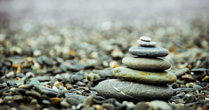 Les SCPI de Paref Gestion maintiennent le cap en 2023 !