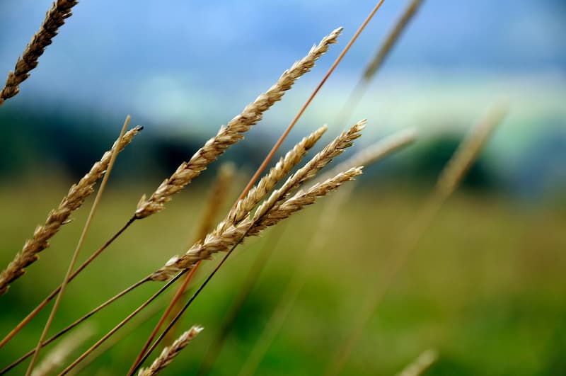 nouvelle-acquisition-pour-la-sc-terres-invest-en-ile-de-france