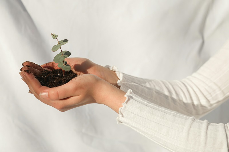 scpi-lf-grand-parisplan-d-arbitrage-ecologique