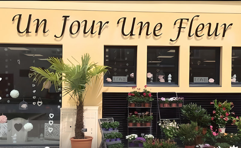 un-jour-une-fleur