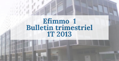 Efimmo 1 : BT 1T 2013